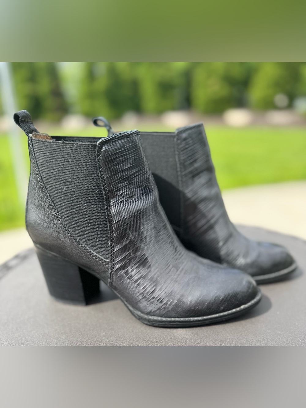 Sofft Brand Black Women's Ankle Booties - Sleek Block